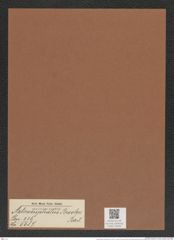 Asteromphalus brookerii Bail. (de-Toni-Nr.: Genus 236, Species 5687) Zeichnungen Sammlung Grunow Mappe 05402 (Herbarium_W_Grunow_drawings_Folder_05402)